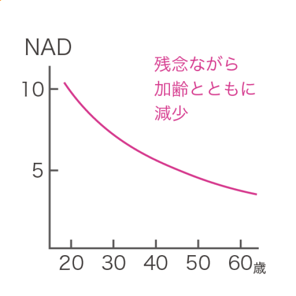 加齢と共に減少するNAD