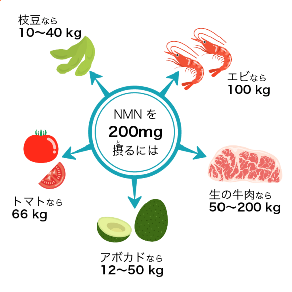 NMN200mgを摂取するのに必要な食物